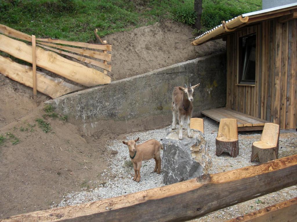 Hotel Panoramadorf Saualpe Eberstein Zewnętrze zdjęcie